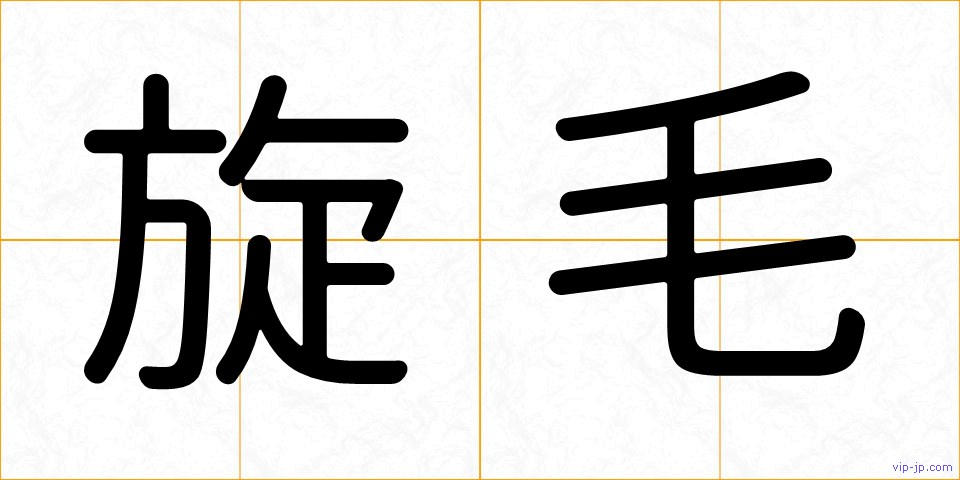 旋毛の画像