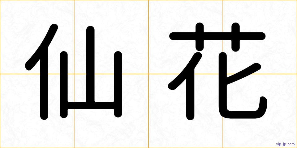 仙花の画像