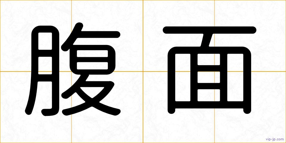 腹面の画像