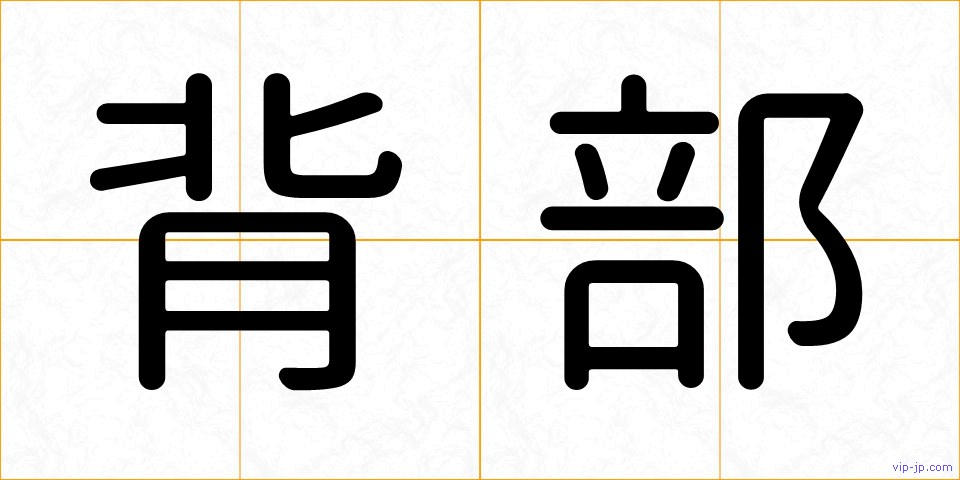 背部の画像