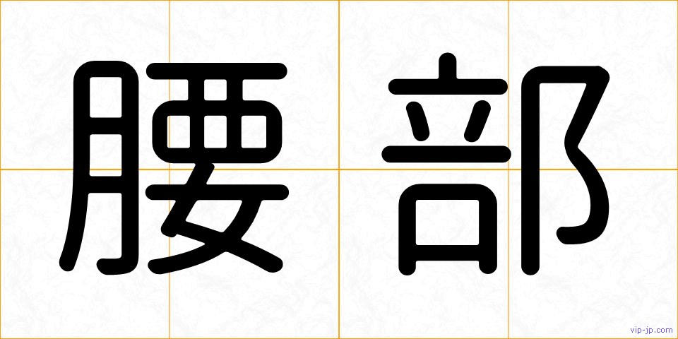 腰部の画像