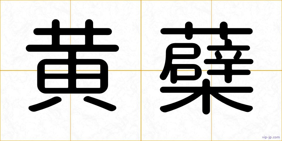 黄蘗の画像