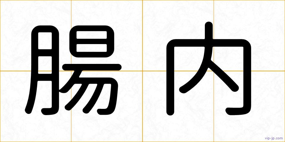 腸内の画像