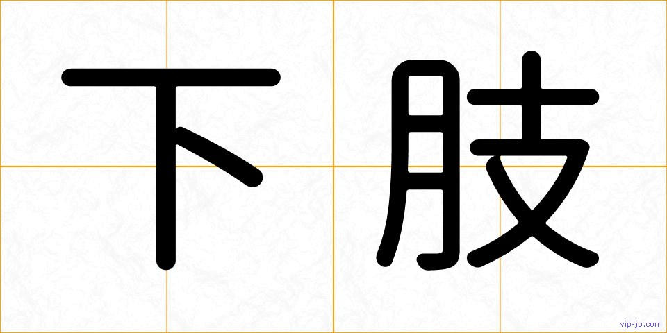 下肢の画像