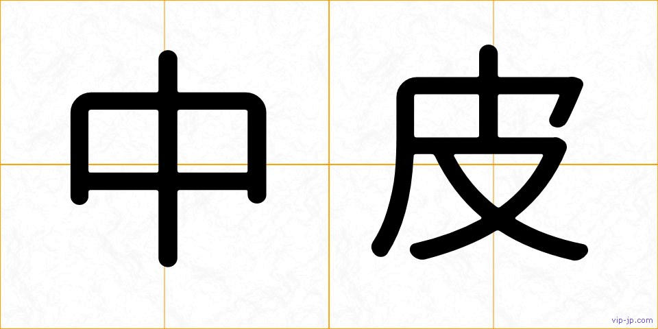 中皮の画像