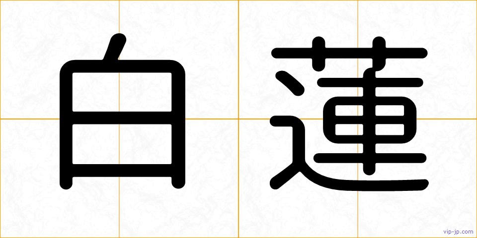 白蓮の画像