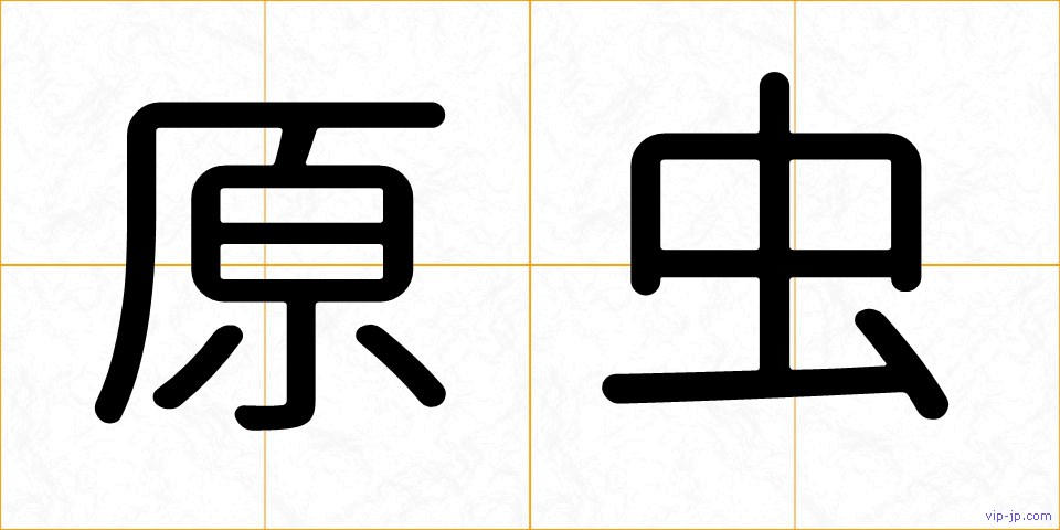 原虫の画像