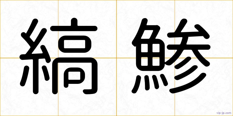 縞鯵の画像