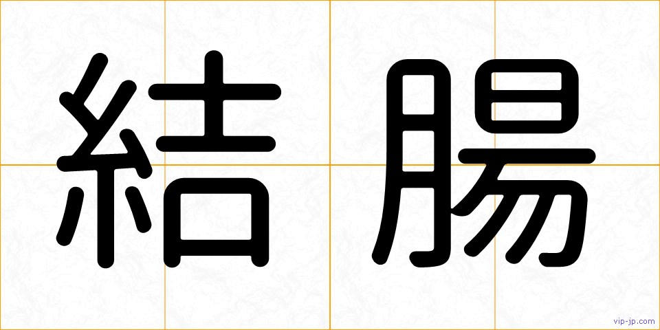 結腸の画像