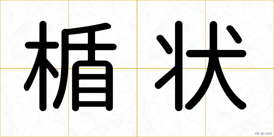 楯状の画像
