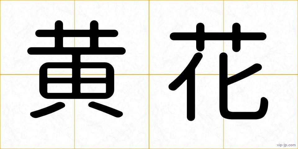黄花の画像