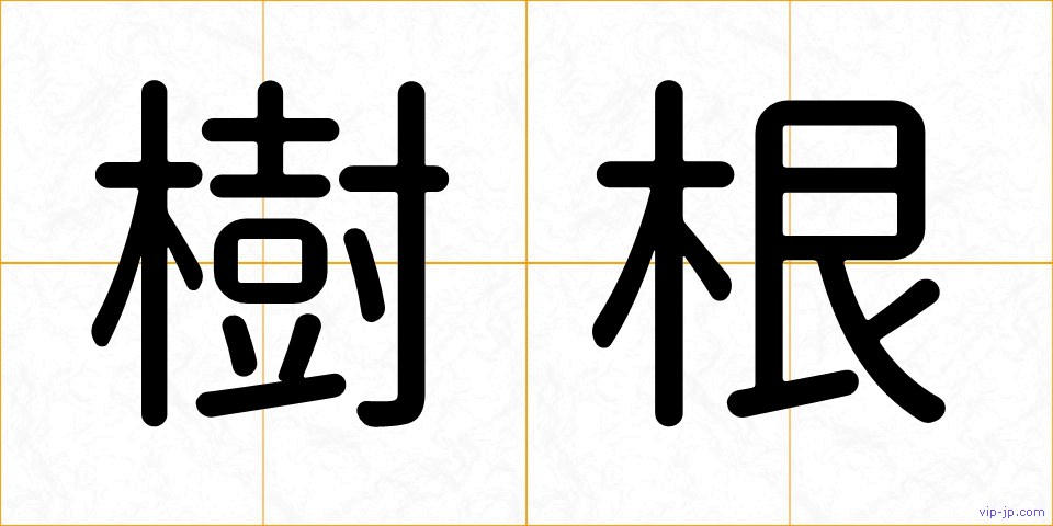 樹根の画像