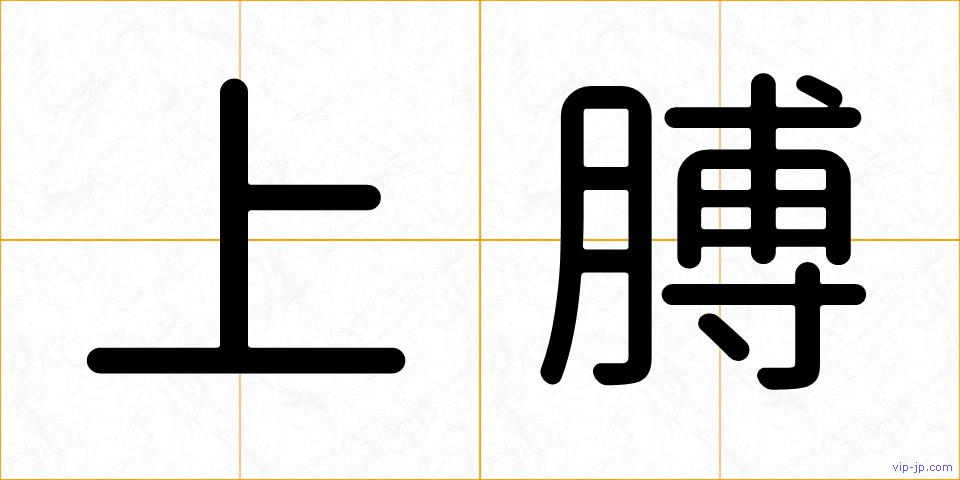 上膊の画像