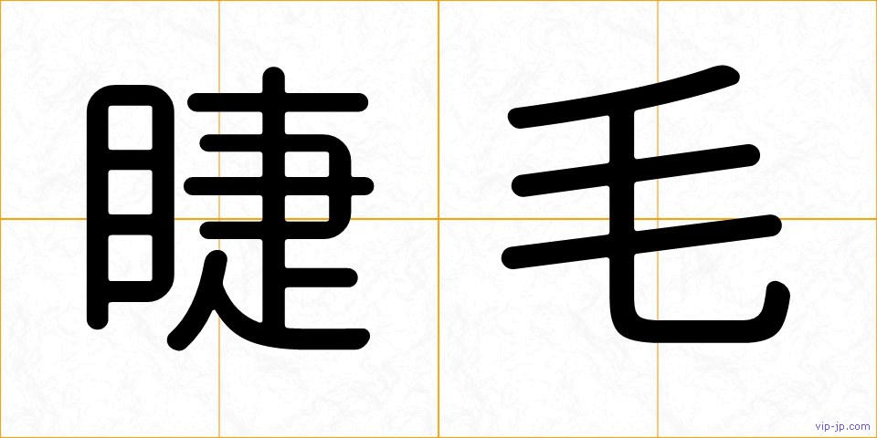 睫毛の画像