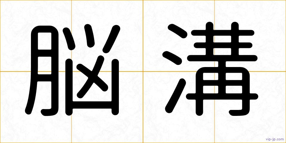 脳溝の画像