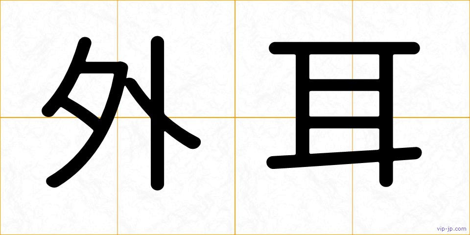 外耳の画像