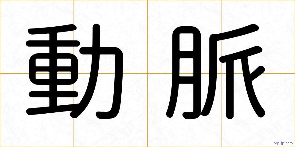 動脈の画像