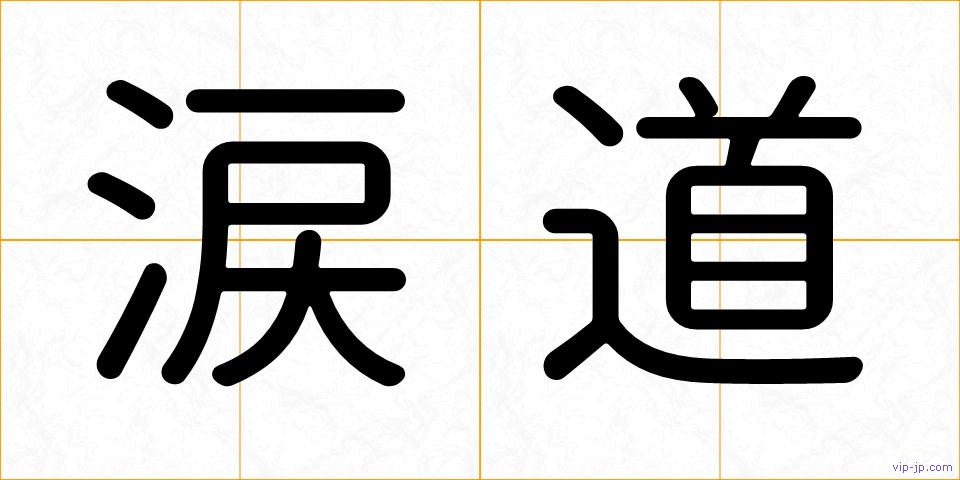 涙道の画像