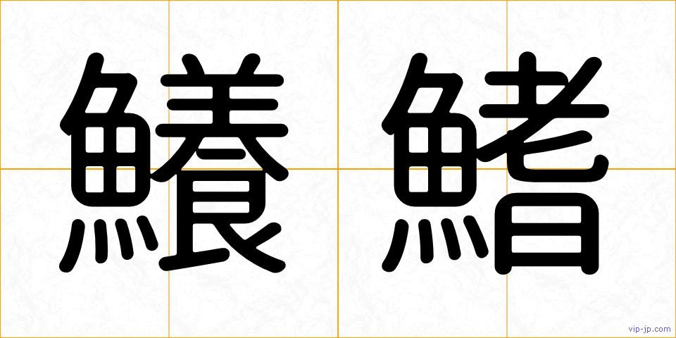 鱶鰭の画像