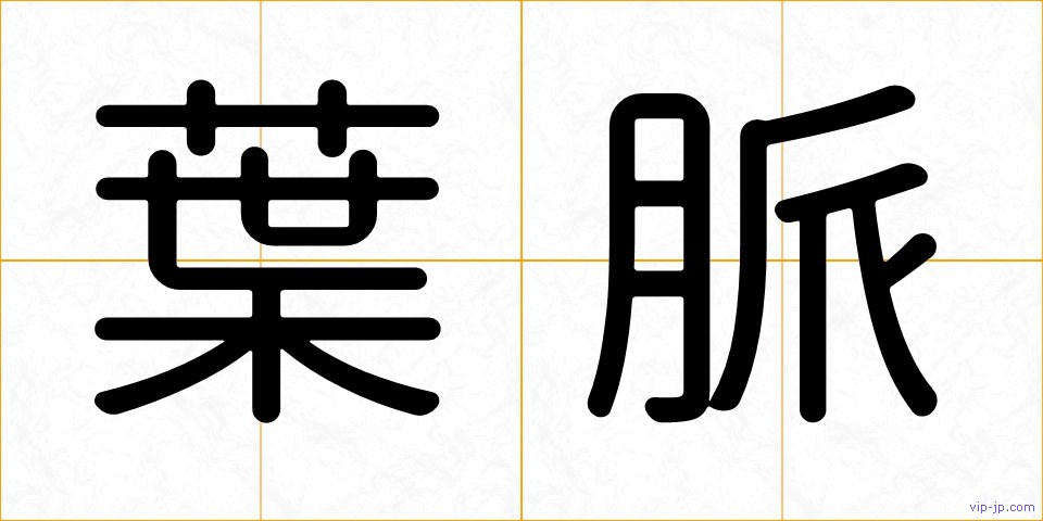 葉脈の画像