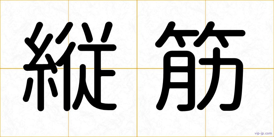 縦筋の画像