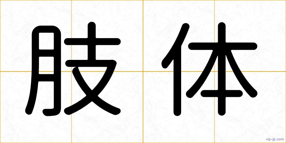 肢体の画像