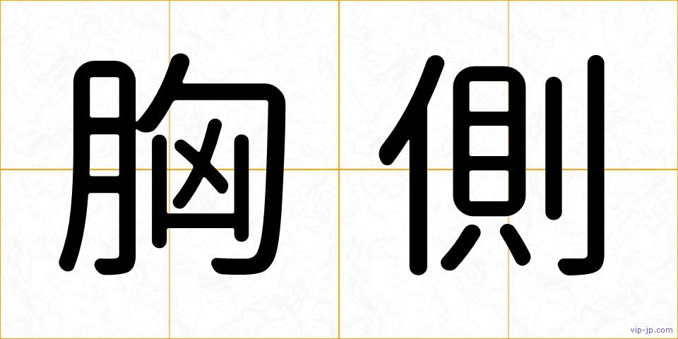 胸側の画像