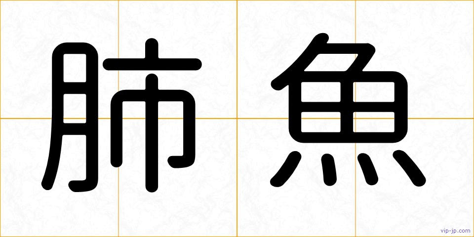肺魚の画像