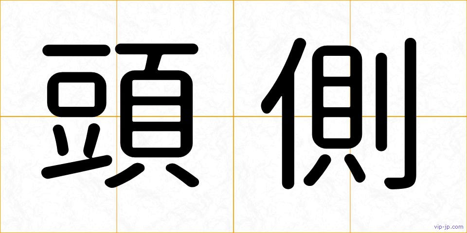 頭側の画像