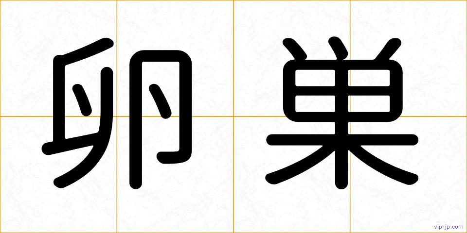卵巣の画像