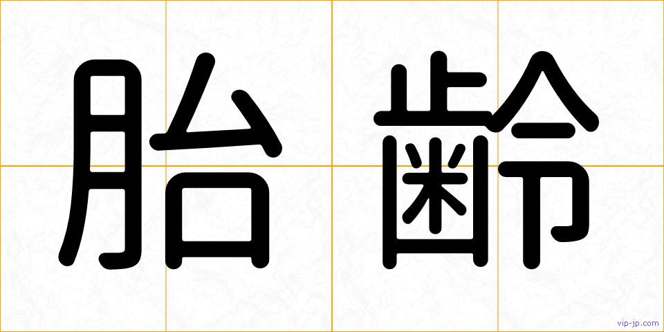 胎齢の画像