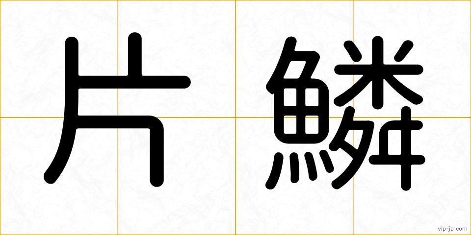 片鱗の画像