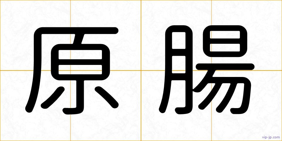 原腸の画像