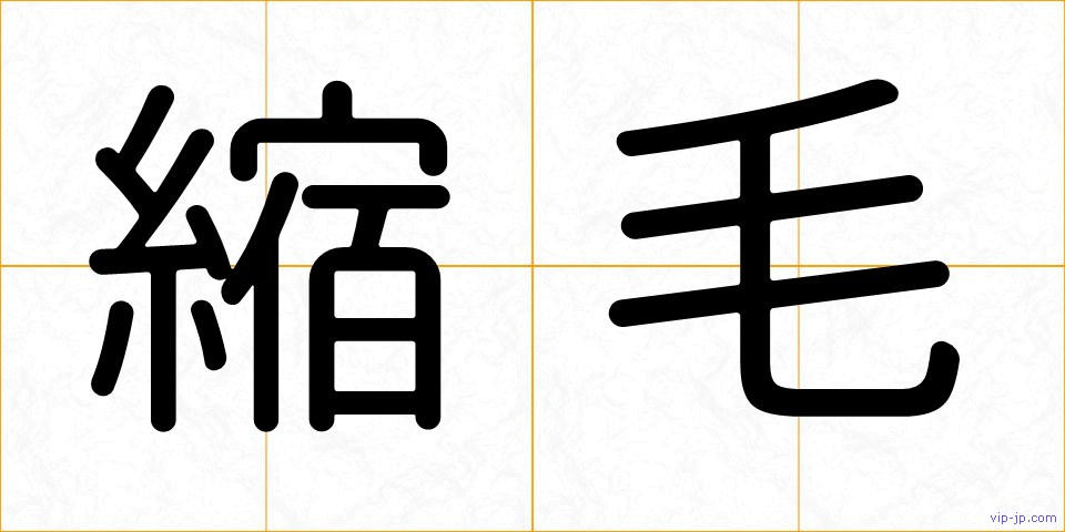 縮毛の画像