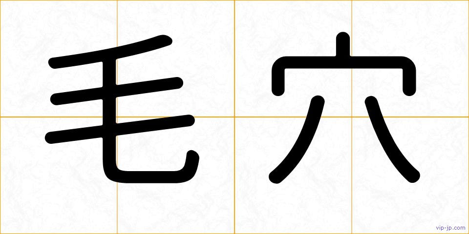 毛穴の画像