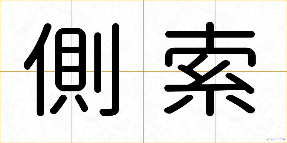 側索の画像