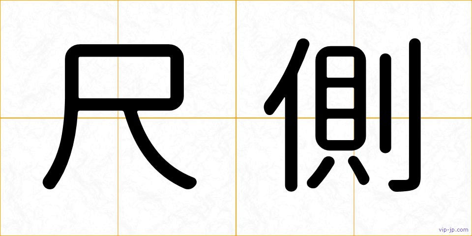 尺側の画像