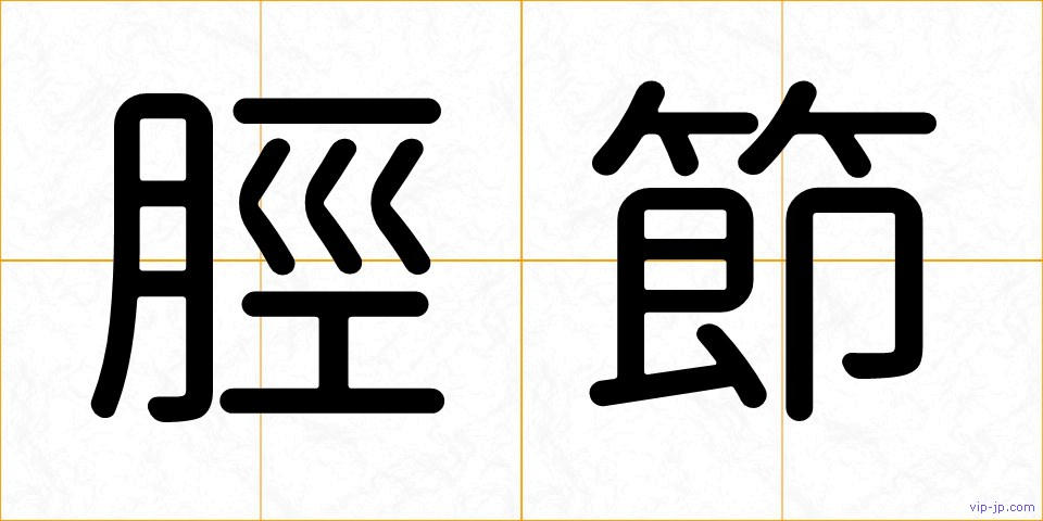 脛節の画像