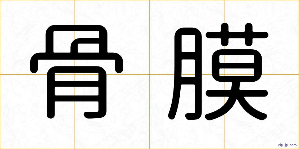 骨膜の画像