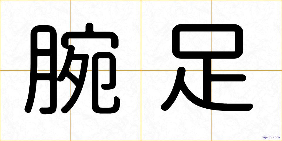 腕足の画像