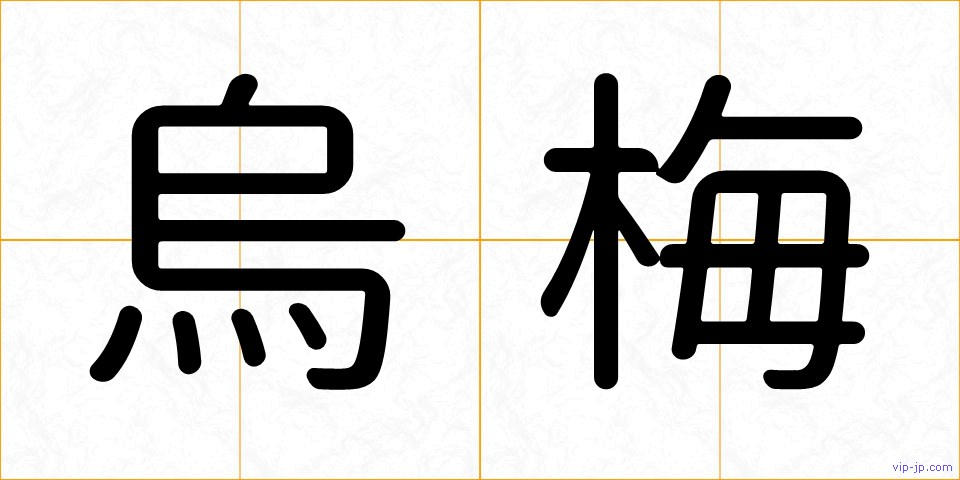 烏梅の画像