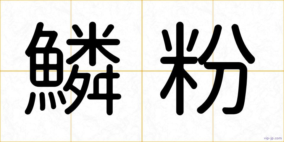 鱗粉の画像