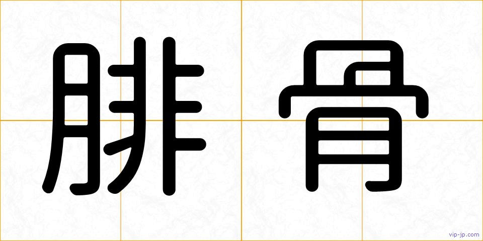腓骨の画像