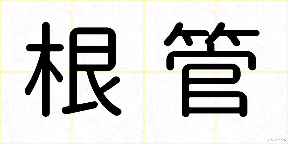 根管の画像