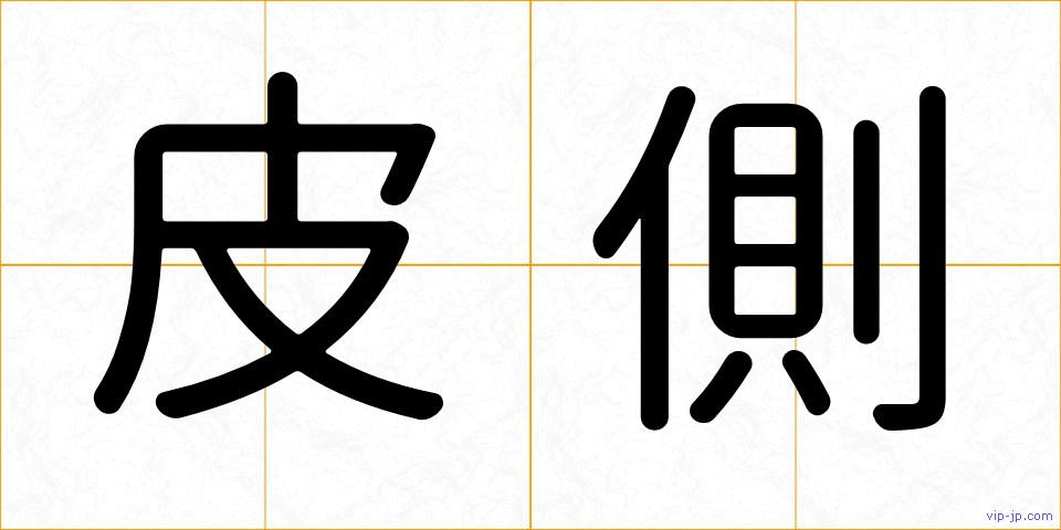 皮側の画像