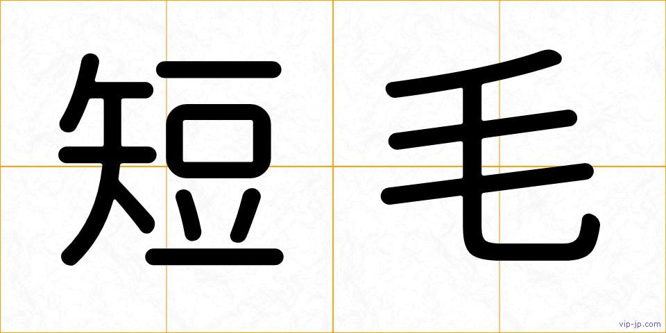 短毛の画像