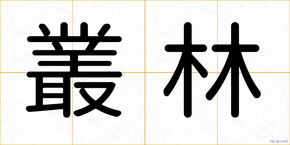 叢林の画像