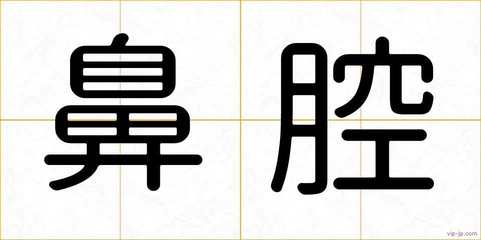 鼻腔の画像