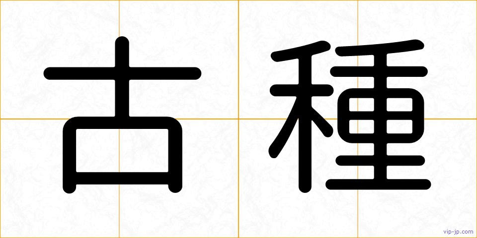 古種の画像