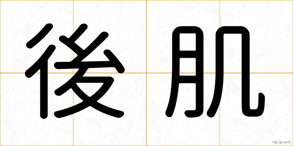 後肌の画像